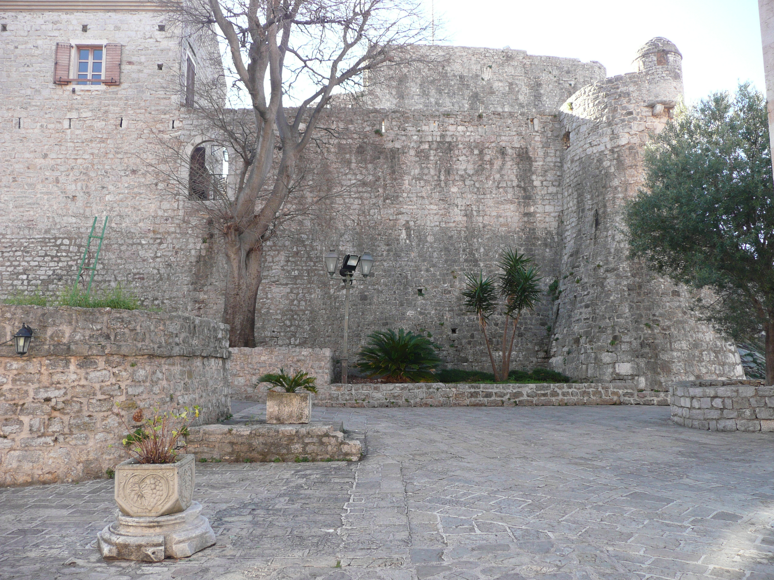 P1040501