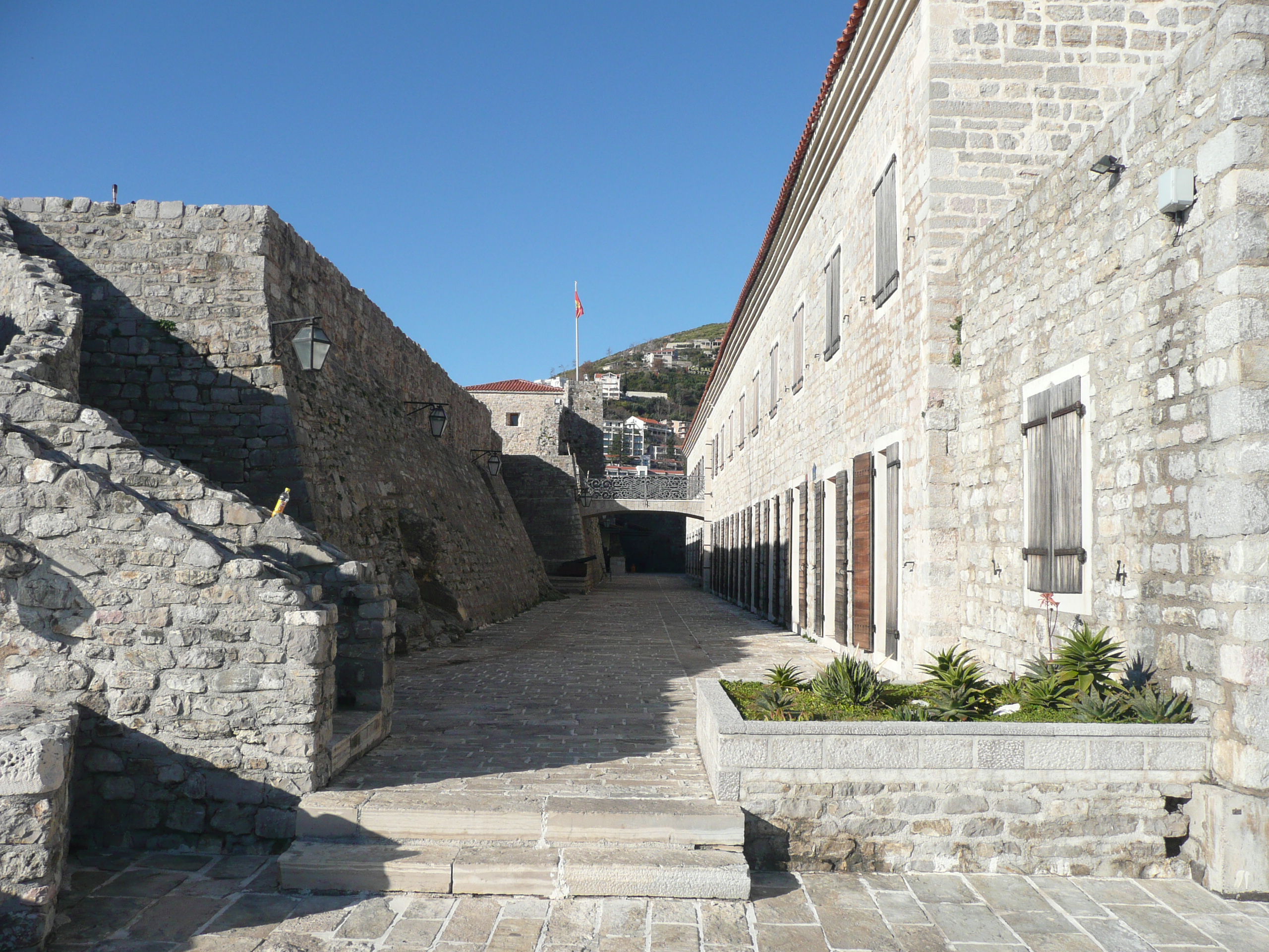 P1040502