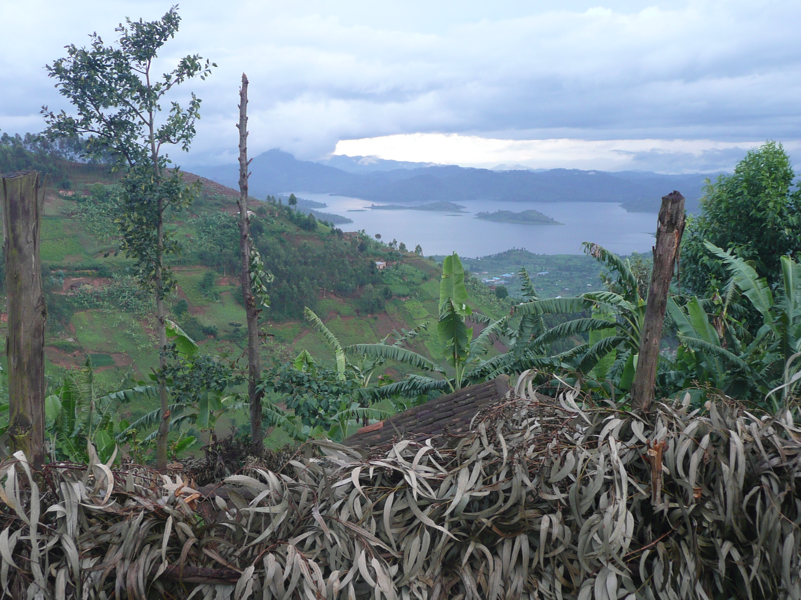 P1040012