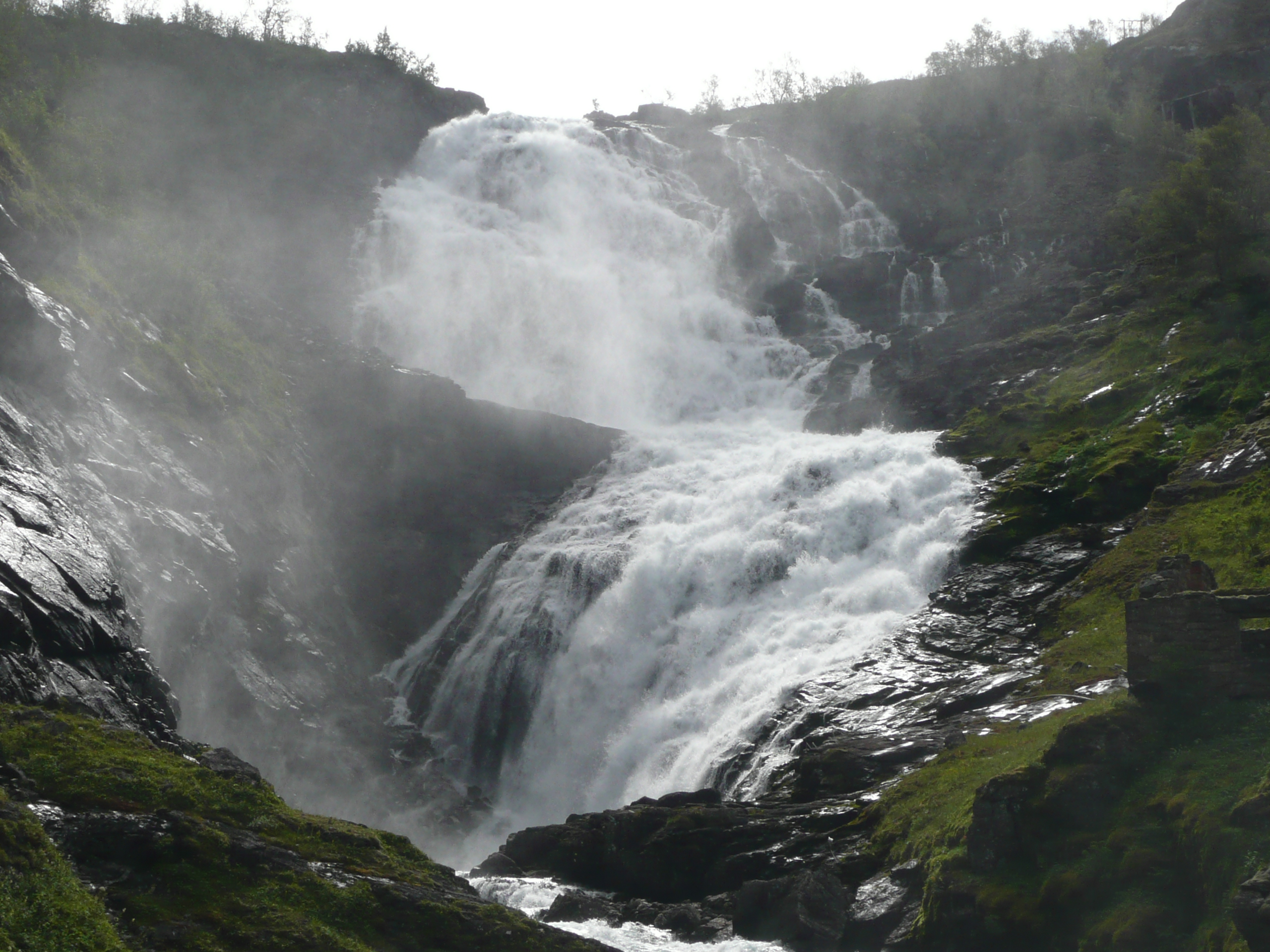 P1020912
