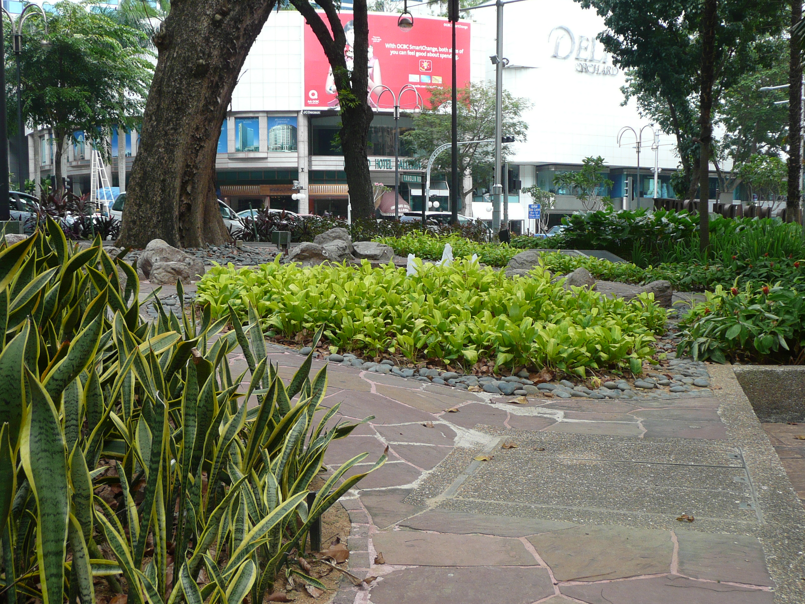 P1010819