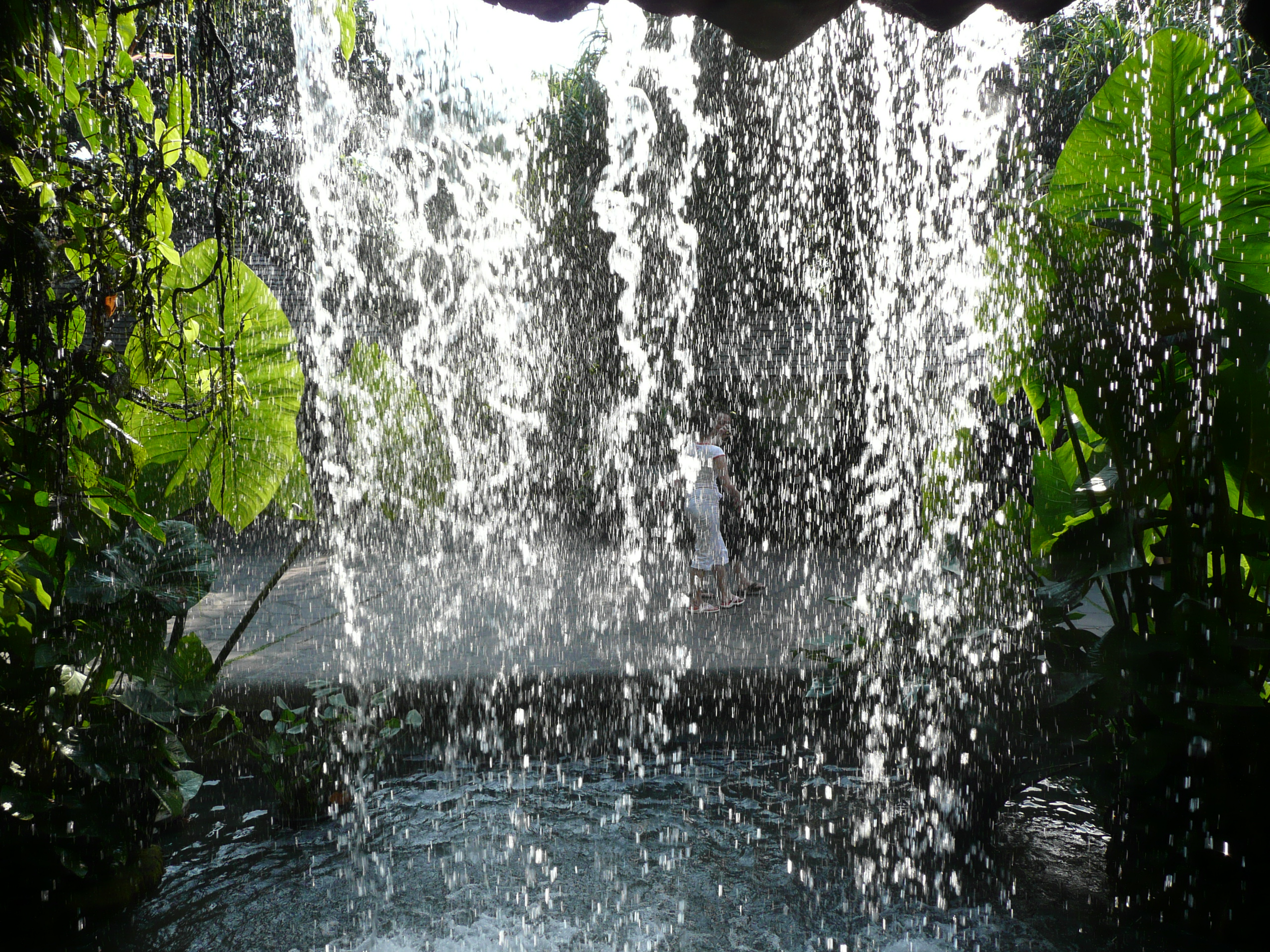 P1010862