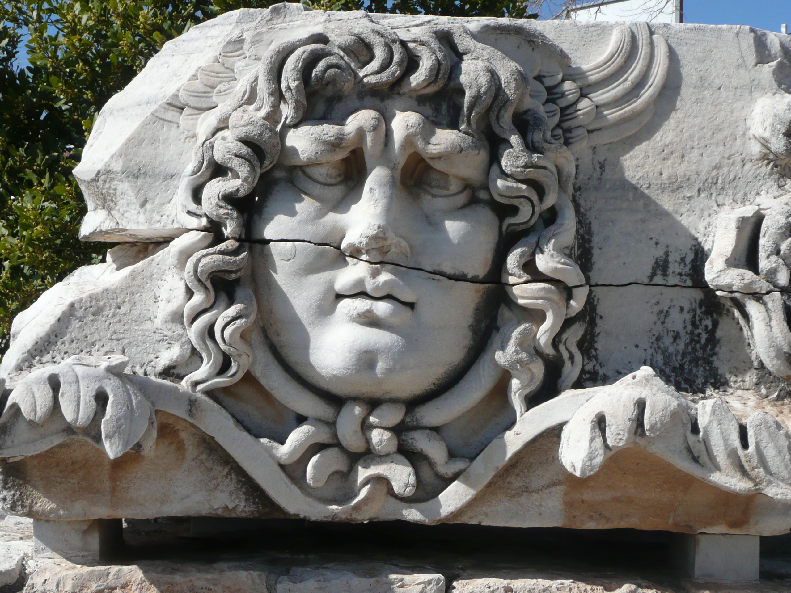 P1020088