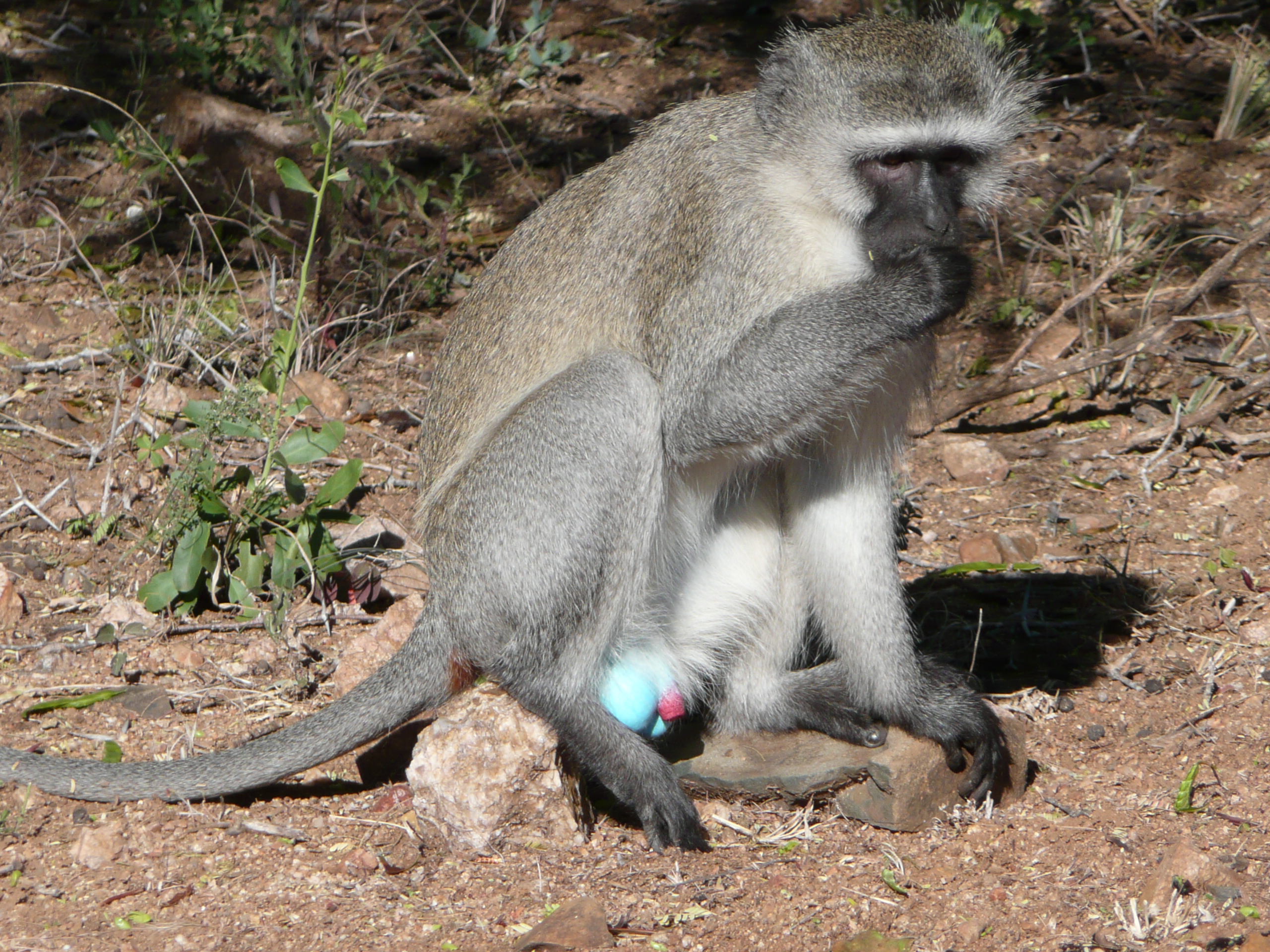 P1000238
