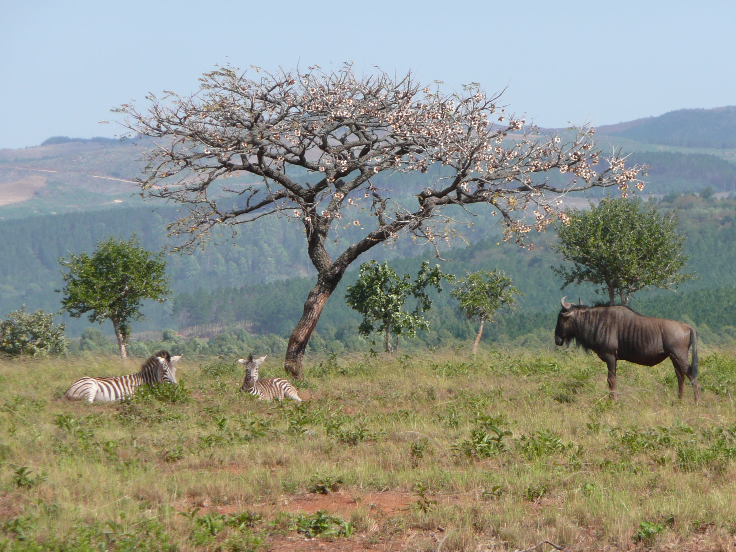 P1000174