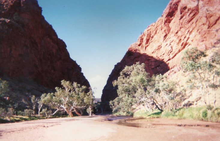 SCAN0061